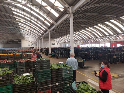 Alhóndiga la Unión S.A. Mayorista de frutas y hortalizas