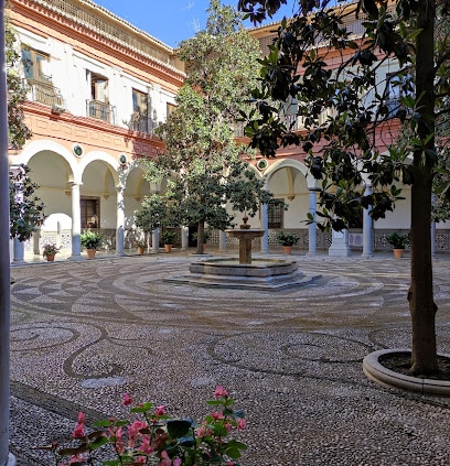 Ayuntamiento de Granada Ayuntamiento