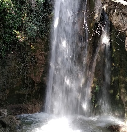 Cascadas De Prado Negro Parque