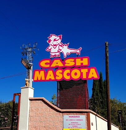 Cash Mascota Tienda de animales