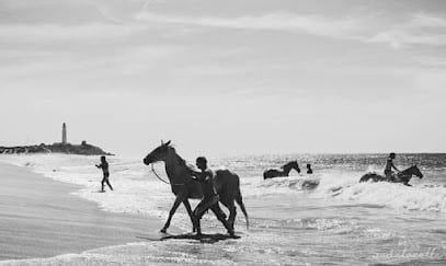 Club Hípico Equinsoul (Beach) Servicio de paseo a caballo