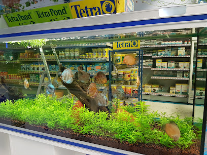Mundi Aquarium Center Tienda de acuarios
