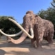 Ruta del Mamut Zona de senderismo