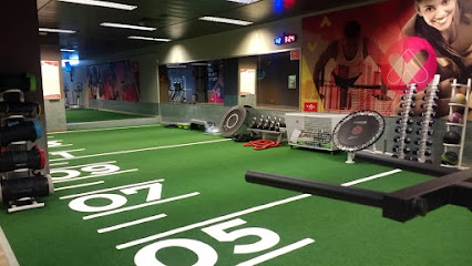 VivaGym Granada | Gimnasio en Granada Gimnasio
